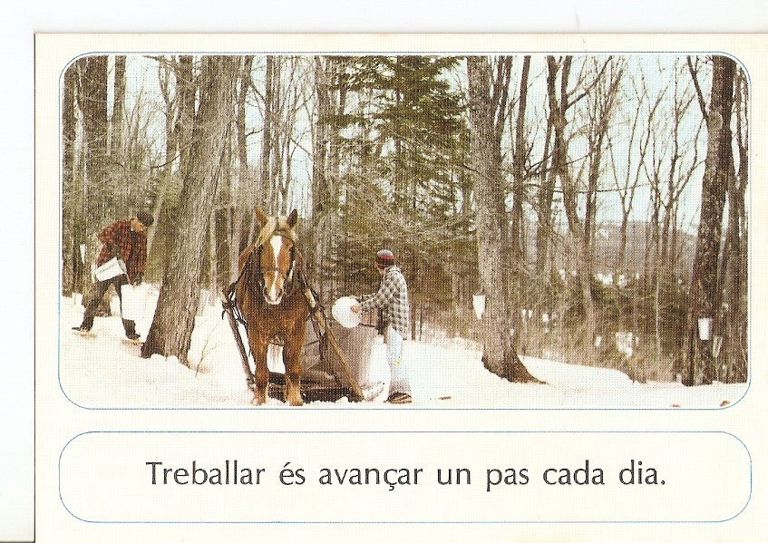 Postal 030585 : Caballo en la nieve