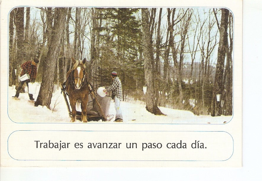 Postal 030586 : Caballo en la nieve