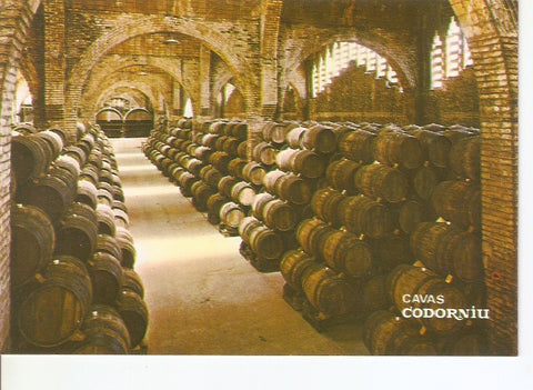 Postal 030622 : Una bodega. Monumento Nacional. Cavas Codorniu