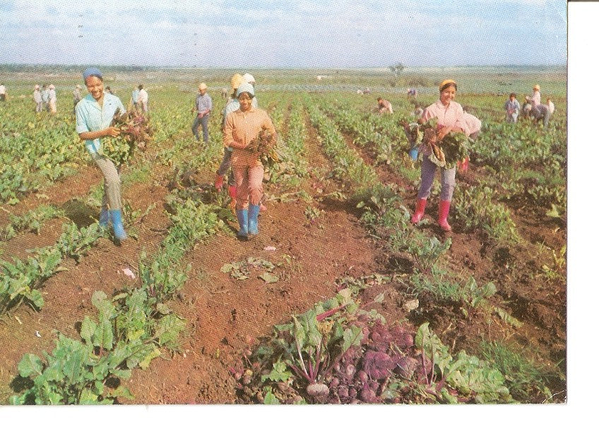 Postal 032352 : La Escuela al Campo. Secondary School in the countryside