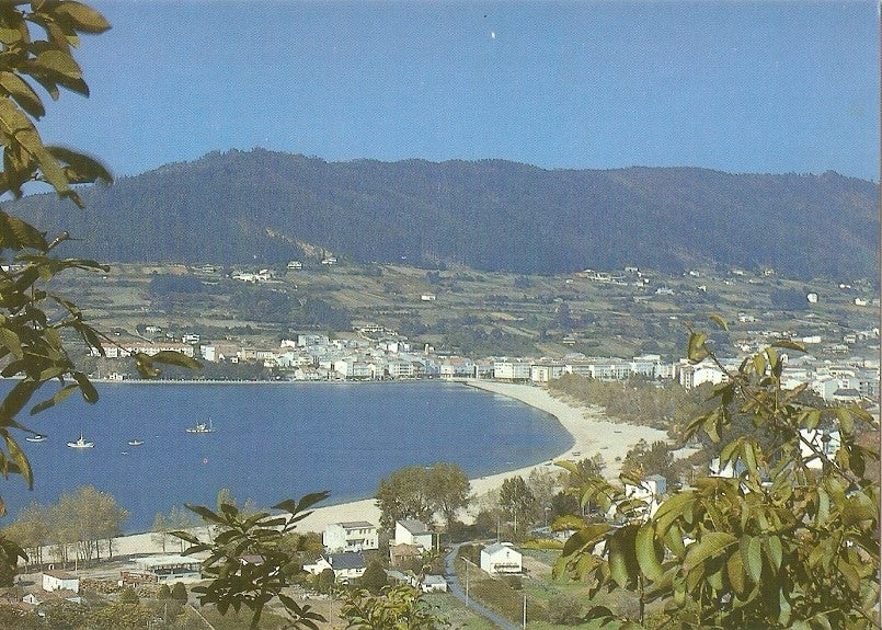 Postal 030793 : Cedeira. Vista Xeral