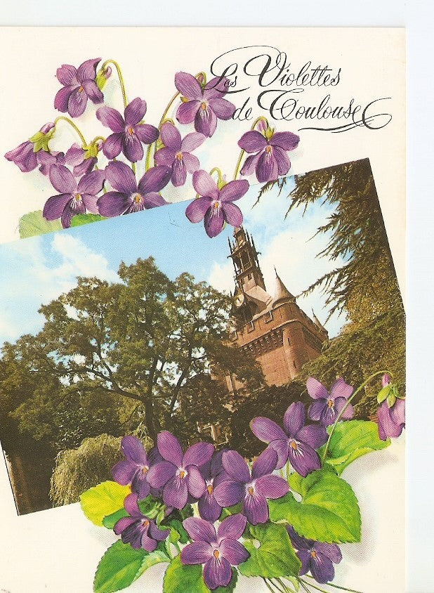 Postal 030816 : Toulouse. Cite des Violettes. Le Donjon du Capitole (1750)