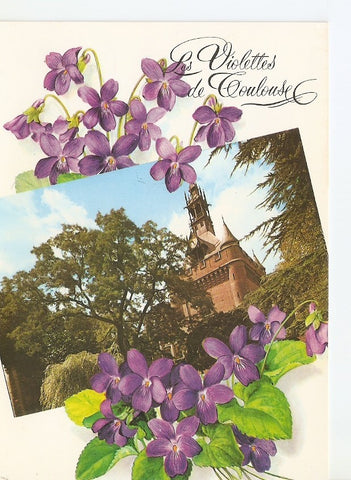 Postal 030816 : Toulouse. Cite des Violettes. Le Donjon du Capitole (1750)