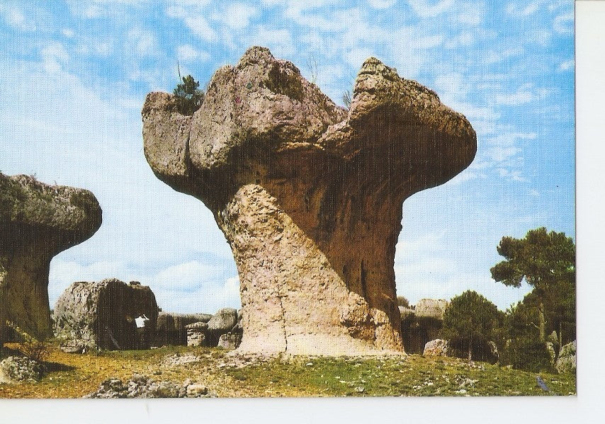 Postal 030845 : Cuenca. Ciudad Encantada. El Frutero