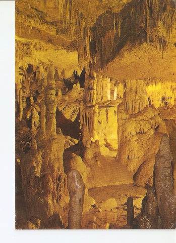Postal 030882 : Cuevas de Altamira. Estalactitas y estalagmitas