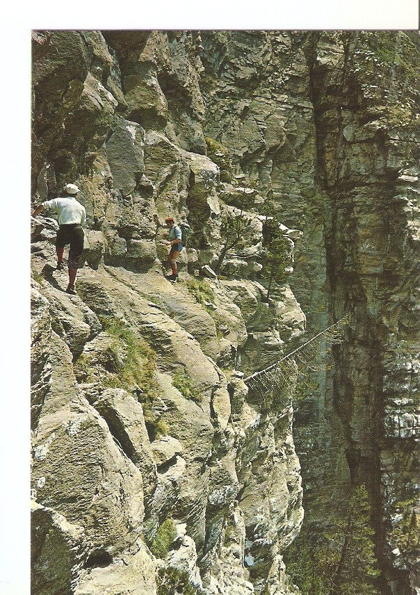 Postal 031010 : Parque Nacional de Ordesa Pirineo Aragones- Clavijas de Cotatuero