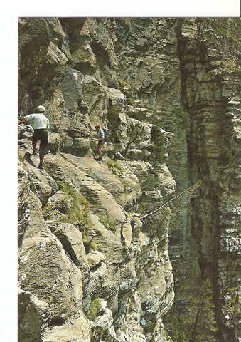 Postal 031010 : Parque Nacional de Ordesa Pirineo Aragones- Clavijas de Cotatuero