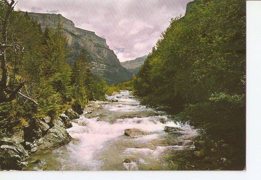 Postal 031089 : Parque Nacional de Ordesa (Pirineo Aragones). Rio Arazas desde el puente de Briet