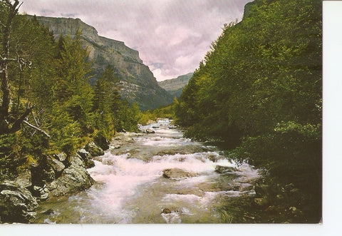 Postal 031089 : Parque Nacional de Ordesa (Pirineo Aragones). Rio Arazas desde el puente de Briet