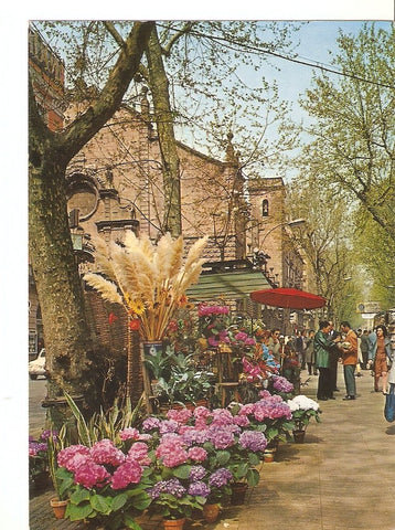 Postal 031121 : Barcelona. Rambla de las Flores