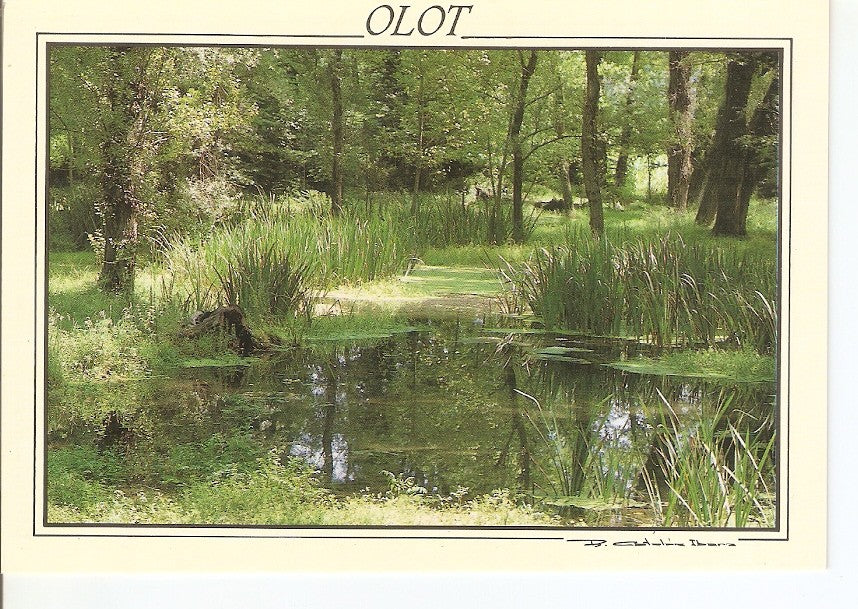 Postal 031137 : Olot Parc Natural de la Zona Volcanica de la Garrotxa. Aiguamoixos de la Deu Vella