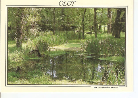 Postal 031137 : Olot Parc Natural de la Zona Volcanica de la Garrotxa. Aiguamoixos de la Deu Vella