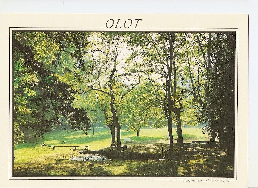 Postal 031138 : Olot (Girona). Parque Nuevo