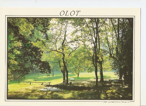 Postal 031138 : Olot (Girona). Parque Nuevo
