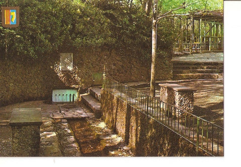 Postal 031139 : Olot. Pirineu Catala. Zona volcanica de gran interes turistico. Centro de la ruta del romanico gran riqueza en manantiales de agua. Fuente Moixina