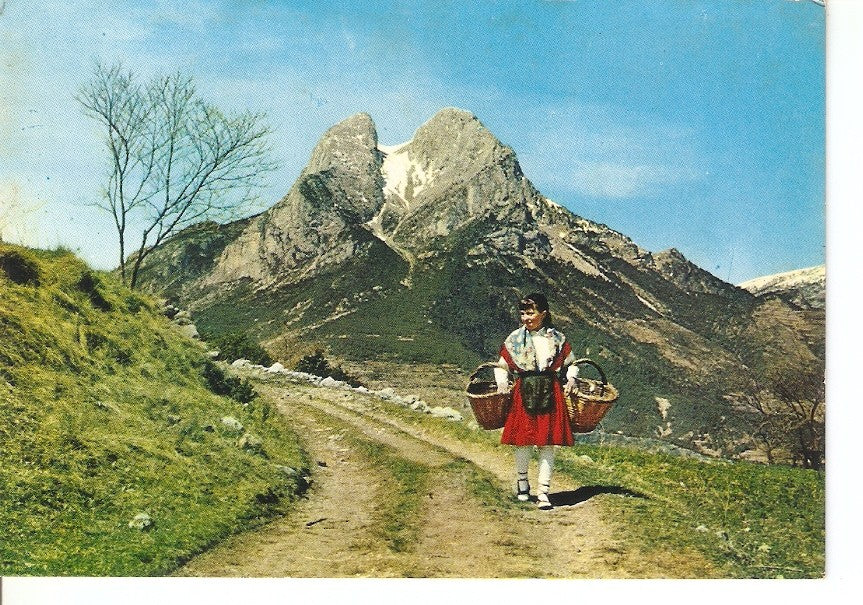 Postal 031173 : Berga. Pedrafolca - Saldes