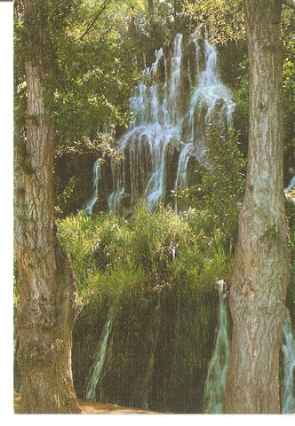 Postal 031203 : Monasterio de Piedra (Zaragoza). Cascada de los Chorreadores