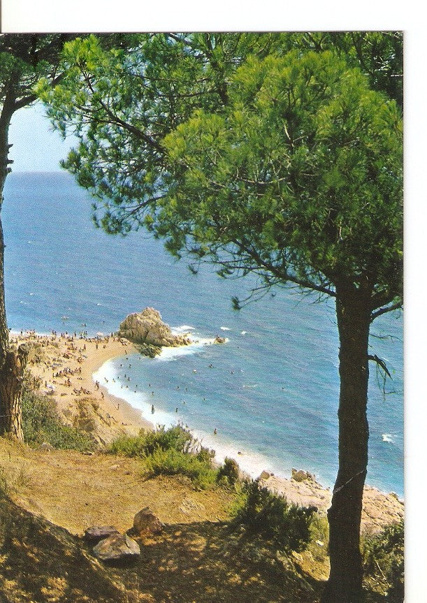 Postal 031223 : Calella (Barcelona) España Playa Roca Grossa