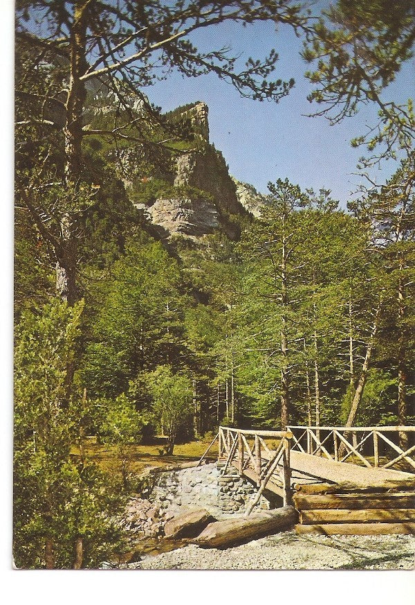 Postal 031232 : Parque Nacional de Ordesa (Pirineo Aragones). Puente rustico sobre el rio Arazas. Al fondo la Proa
