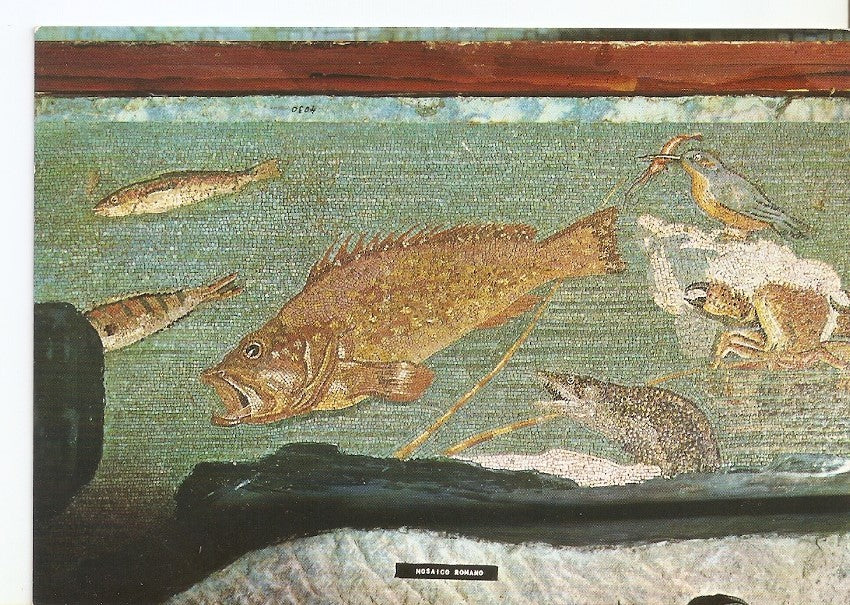 Postal 031233 : Ampurias. Mosaico helenistico llamado de los peces