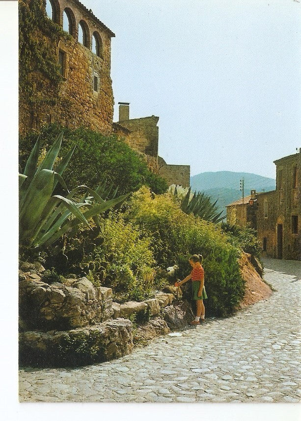 Postal 031337 : Costa Brava. Pals - Detalle del conjunto Historico Artistico