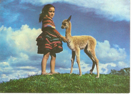 Postal 031346 : Vicuñita. Baby Vicuña. Cusco-Peru
