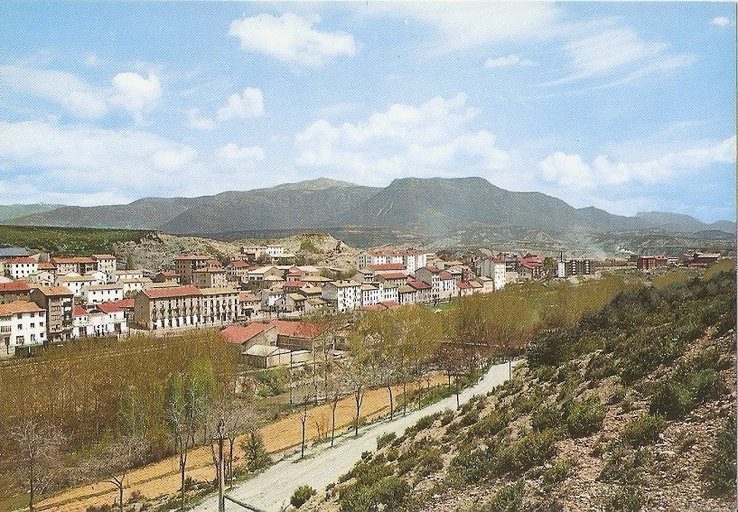 Postal 031370 : Pirineo Aragones. Sabiñanigo