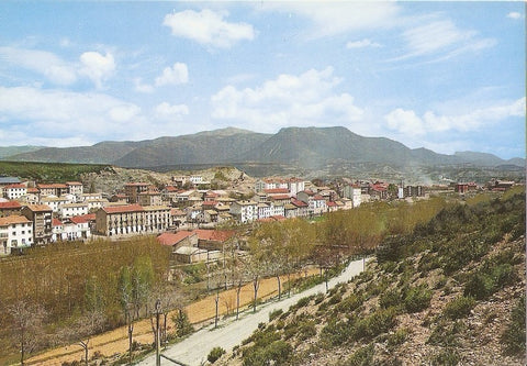 Postal 031370 : Pirineo Aragones. Sabiñanigo