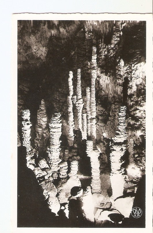 Postal 031527 : Aven dOrgnac (Ardeche). Stalagmite Deviee