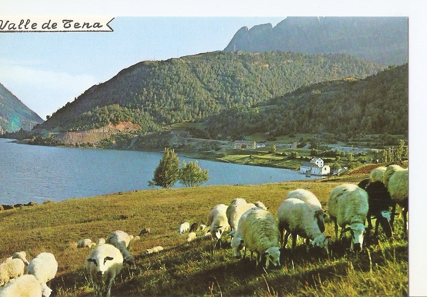 Postal 031593 : Alto Aragon (Huesca). Valle de Tena y embalse