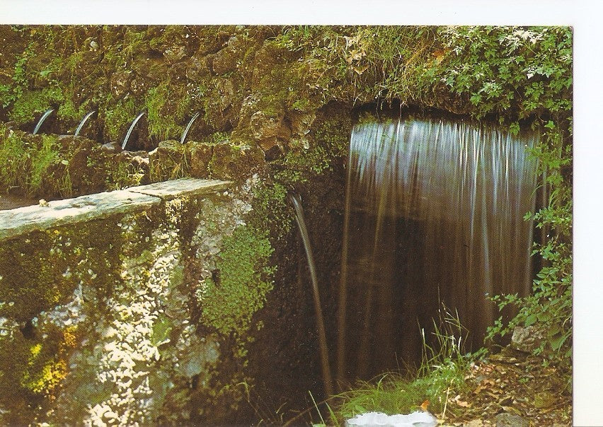 Postal 031644 : Olot dont de les Tries