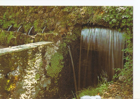 Postal 031644 : Olot dont de les Tries