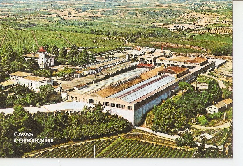 Postal 031648 : Cavas Codorniu. Exteriores