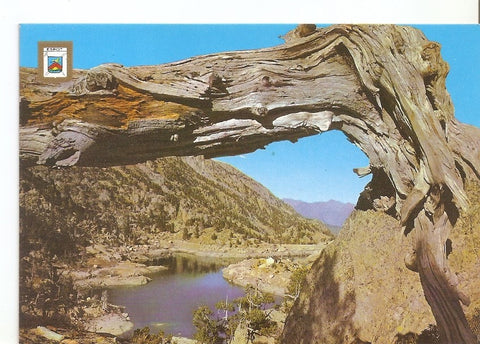 Postal 031738 : Pirineu Catala (Lleida). Regio despot. Lago Tor Trullo