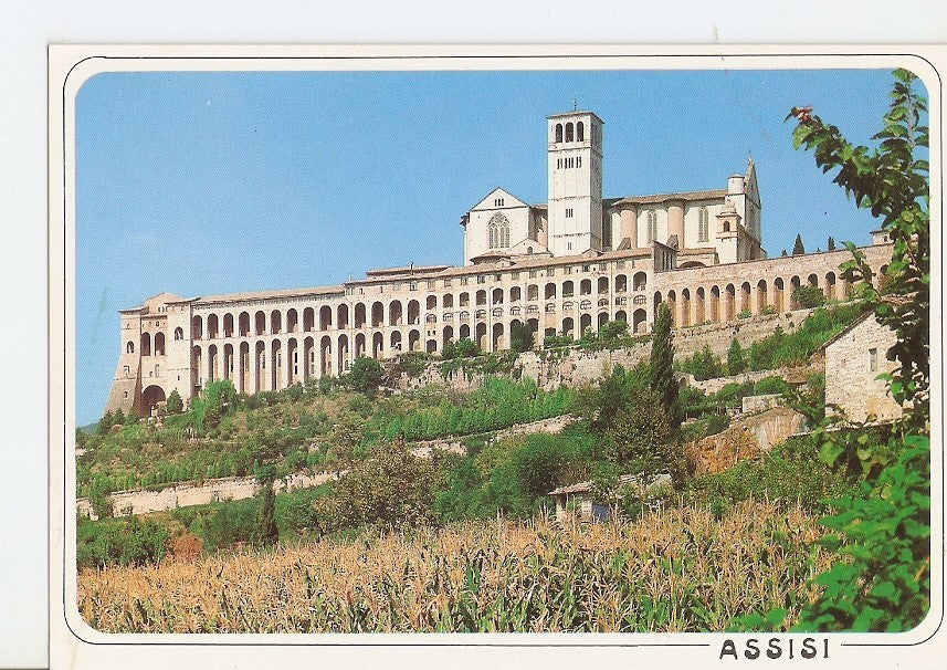Postal 031776 : Assisi (PG) Basilica di San Francesco