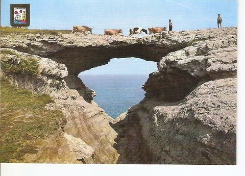 Postal 031837 : Santander. Puente del Diablo