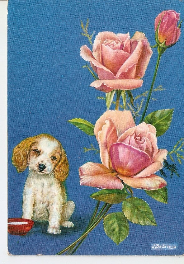 Postal 031849 : Rosas