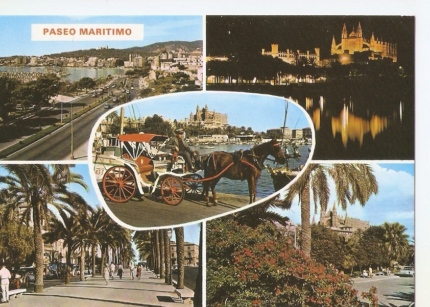 Postal 031871 : Paseo Maritimo. Palma de Mallorca