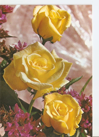 Postal 031879 : Rosas amarillas