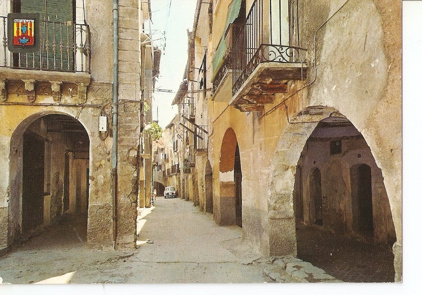 Postal 031911 : Pirineu Catala (Lleida). Vall de Ribagorçana. Pont de Suert. Carrer tipic