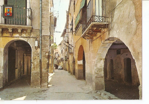 Postal 031911 : Pirineu Catala (Lleida). Vall de Ribagorçana. Pont de Suert. Carrer tipic