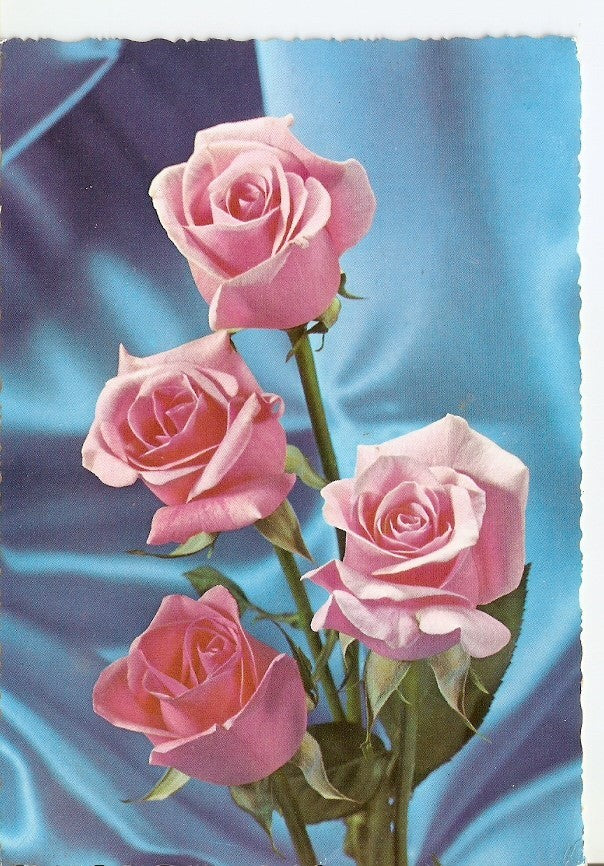 Postal 031912 : Ramo de Rosas