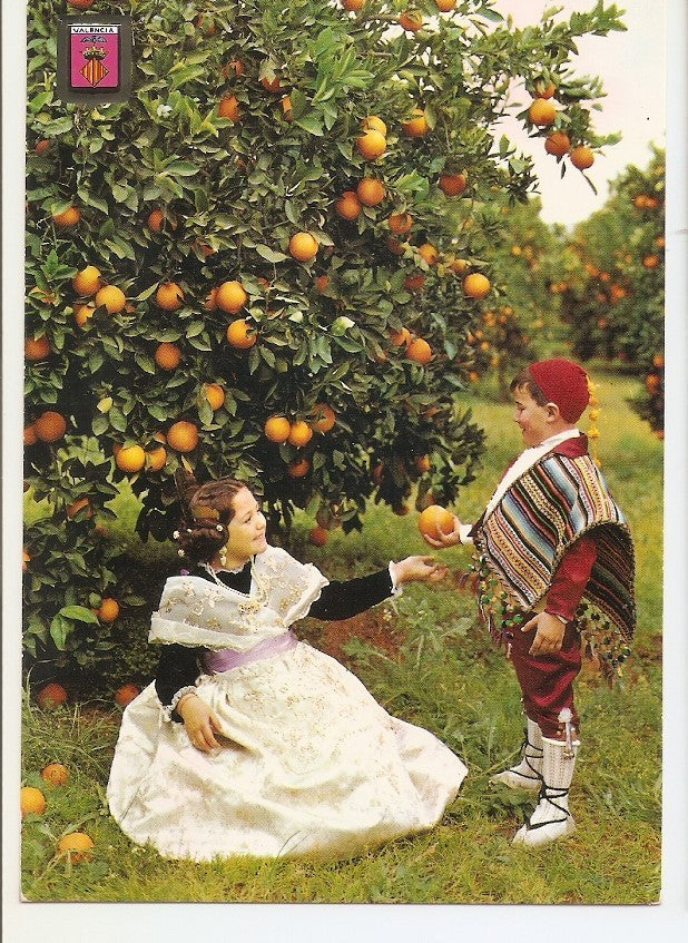 Postal 031961 : Valencia. Entre naranjos