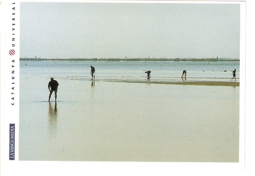 Postal 031978 : El Delta de lEbre. Mariscadores