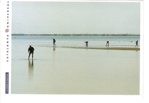 Postal 031978 : El Delta de lEbre. Mariscadores