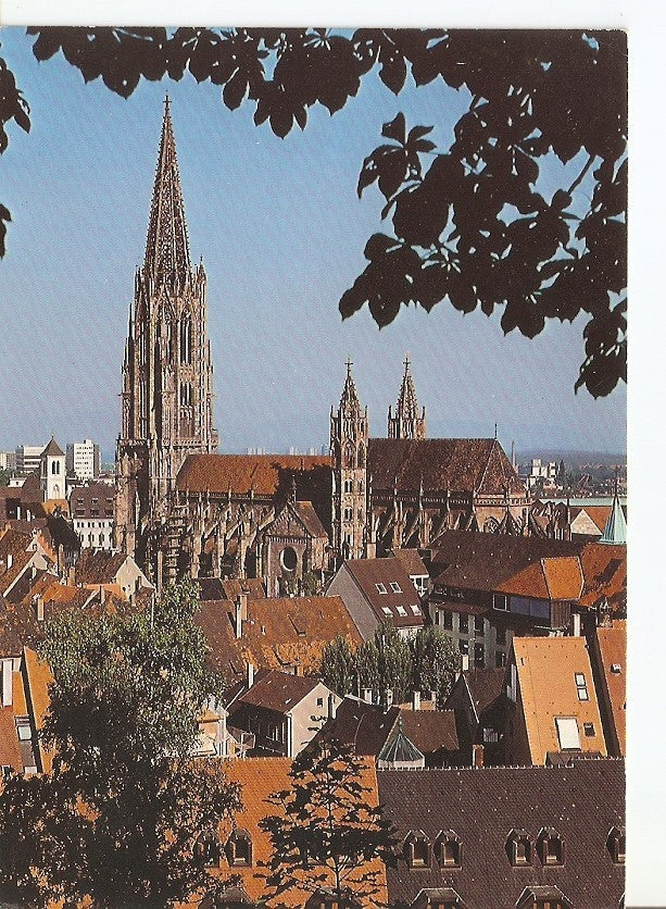 Postal 032021 : Freiburg im Breisgau. Blick vom SchloBberg auf das Munster U.L Frau