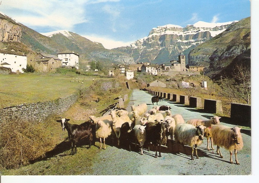 Postal 032029 : Torla (Huesca - Pirineo Aragones). Vista general y Mondarruego al fondo