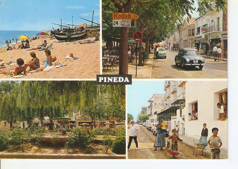 Postal 032155 : Pineda