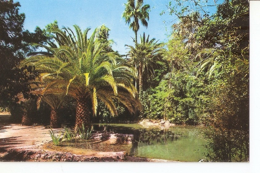 Postal 032151 : Alfabia - Mallorca. Detalle del Lago