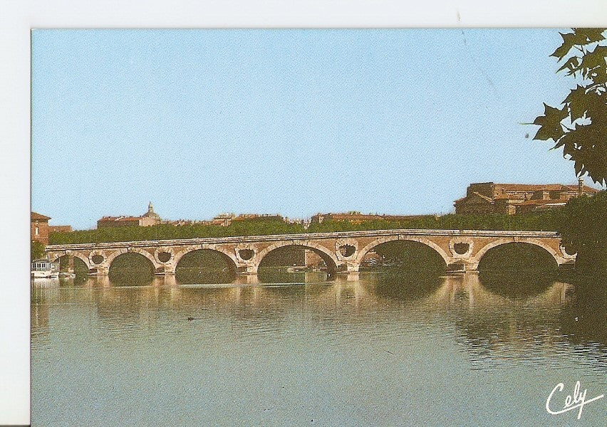 Postal 032190 : 31 - Toulouse Le Pont Neuf sur la Garonne